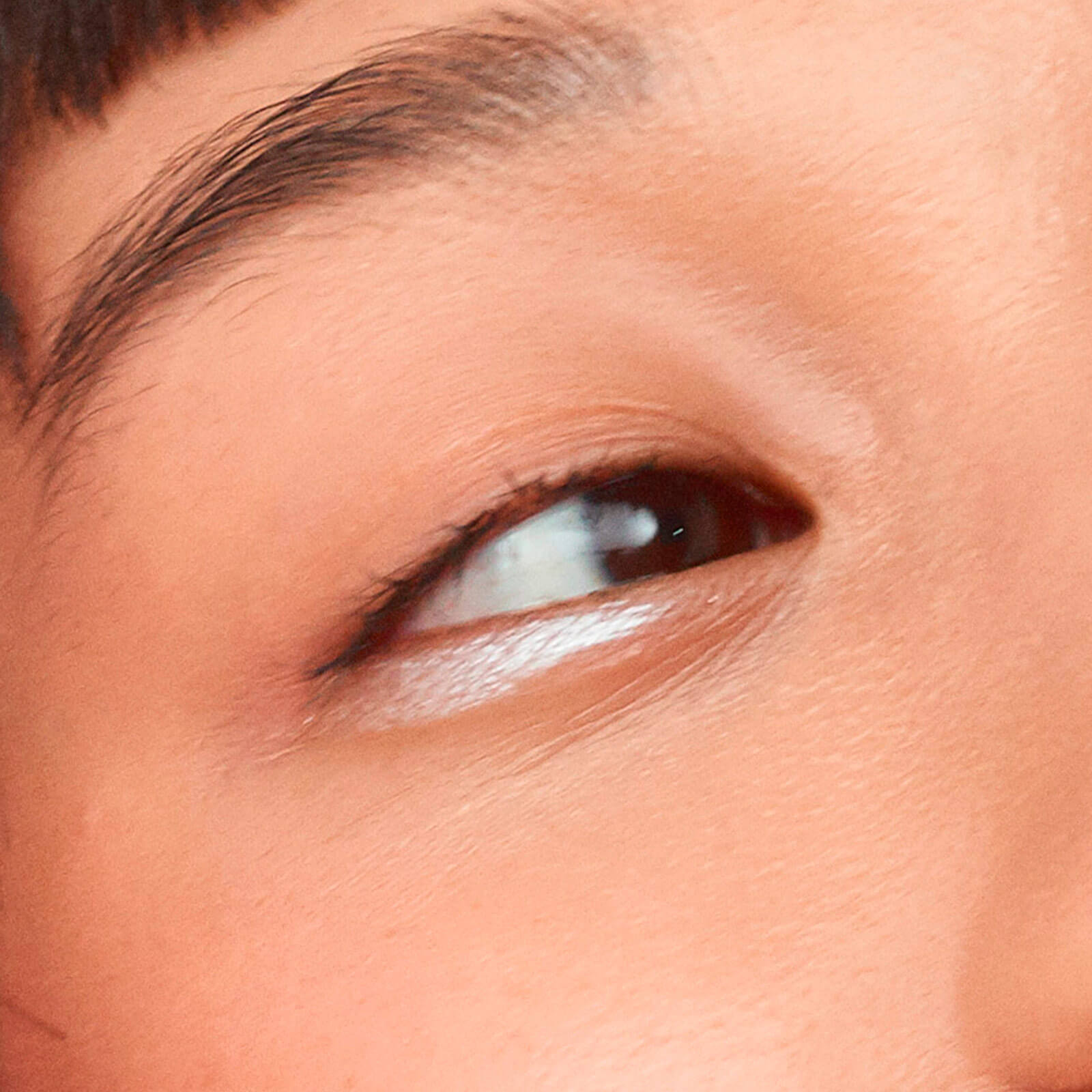 THE CREAM EYESHADOW (SOMBRA EN CREMA)